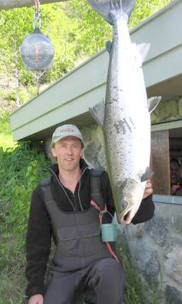 To kjempelakser tatt i Drammenselva i morges!