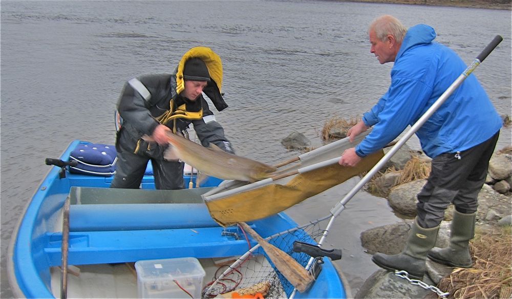 -Sportsfiskere bør også få delta i fellesforvaltningen 