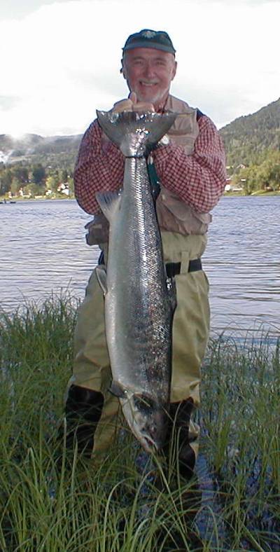 Mange laksunger takler lakseparasitten!