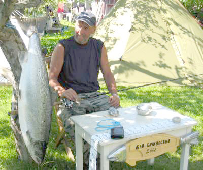 Heldiggrisen i Drammenselva!