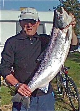 Første storlaksen landet i Drammenselva!