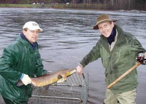 Laksefiskerne strømmer til Drammenselva!