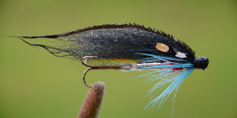 Eiraflua atter på hugget!