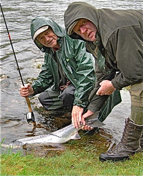 Sportsfiskere satte levende ut igjen hver femte laks 