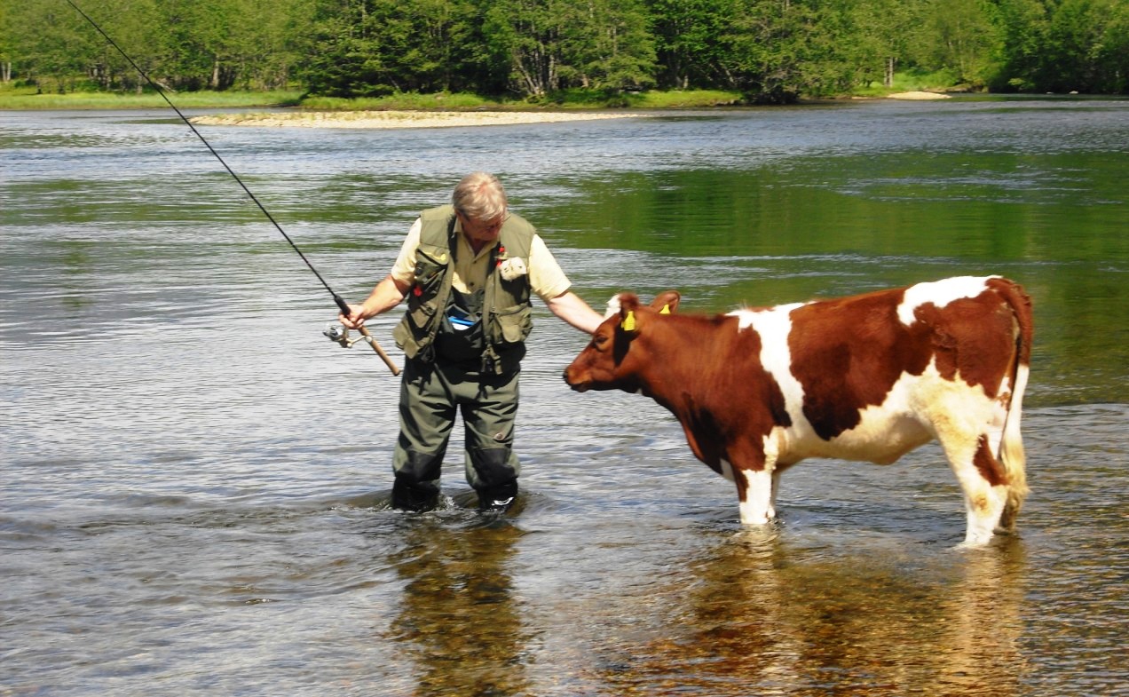 Gode råd for fiske i flomstore og iskalde elver