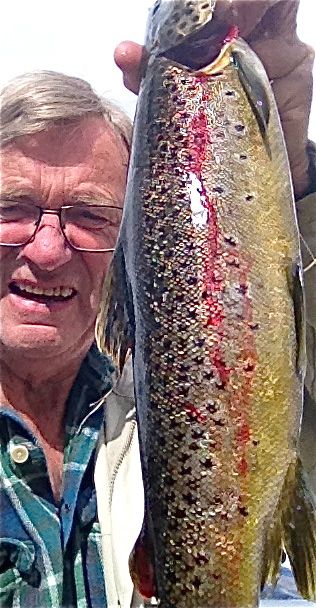 Nå går storfisken mot innosene!