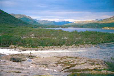 Den nye ørretboka som alle må ha!