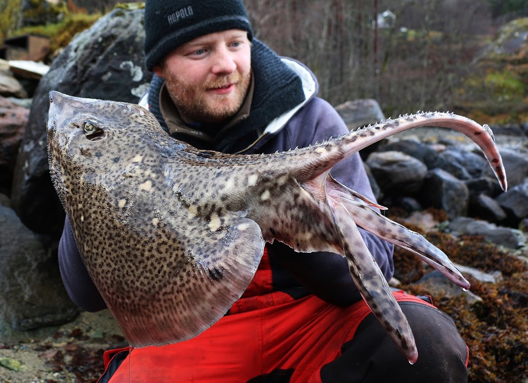 Sportsfisker med 89 ulike fiskearter på lista si!