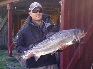 12 laks på land i Enningdalselva før frokost!
