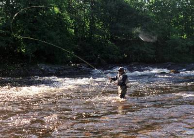 Millioner i EU-støtte sikrer bevaring av Enningdalselva