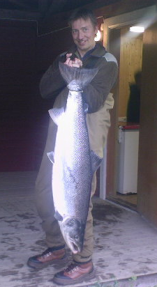 I alt 20 laks - de største på 17,7 og 13,3  i Enningdalselva