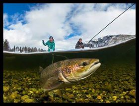 Godt nytt år med nye spennende dueller ute i elvestrykene!