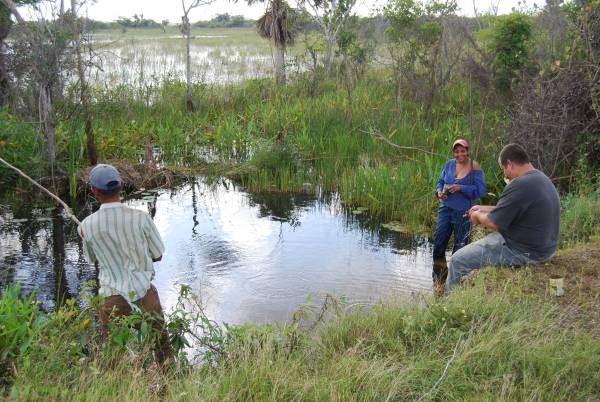 I åpningene til sumpene gjenopplever du guttedagens fiske