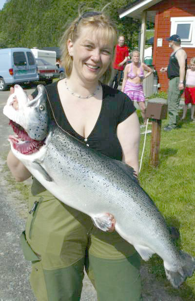 Salangselva satser på lakserømlinger og sjørøye!