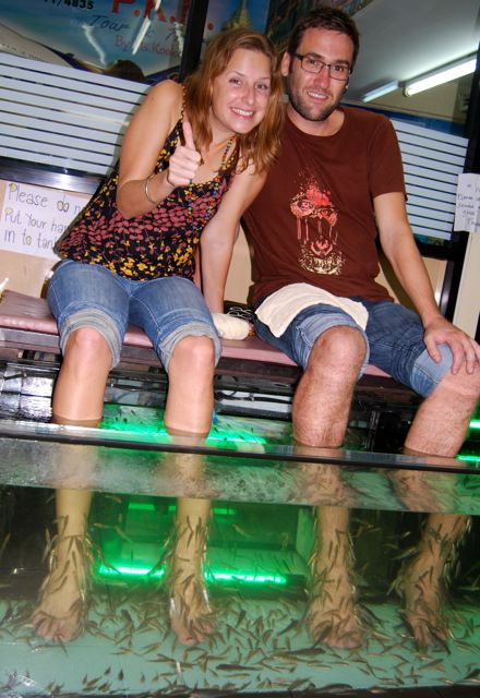 Kan ørekyta bli en ny doktorfisk i Norge?