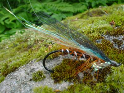 Fiskeguiden: Miljøministerens første kjempetabbe!