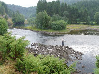 Garnfiske blir tillatt i lakse-innsjøer!