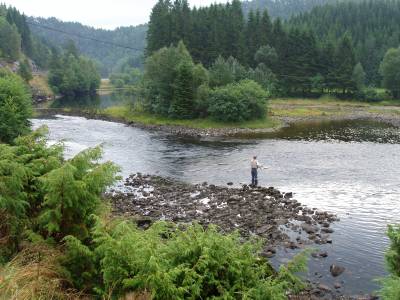 Fiskeguidens laksetips 2006: Flekke!