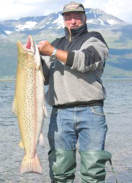 Rensk opp i sjøørret-bekkene!