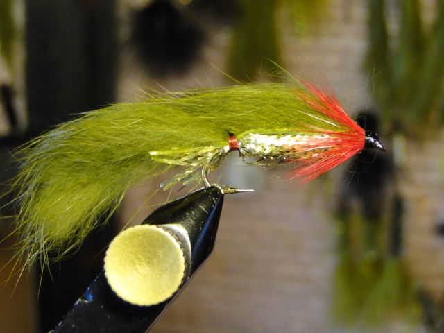 Kenyanske fluer flyr inn i de norske fiskemiljøene!