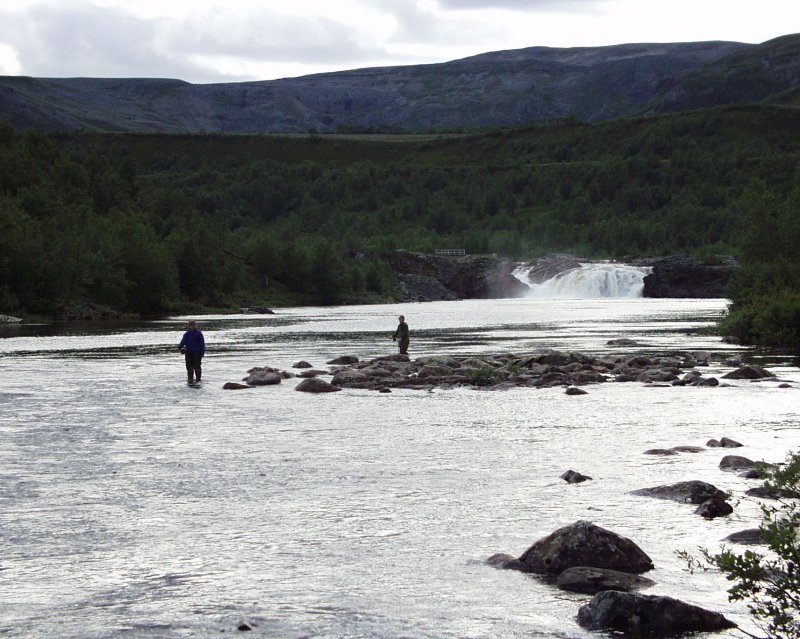 Kjempegodt laksefiske i Stabburselva!