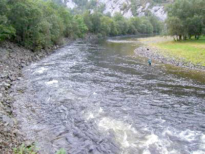 Nøtene fjernes fra utløpene til Rogalands-elver!