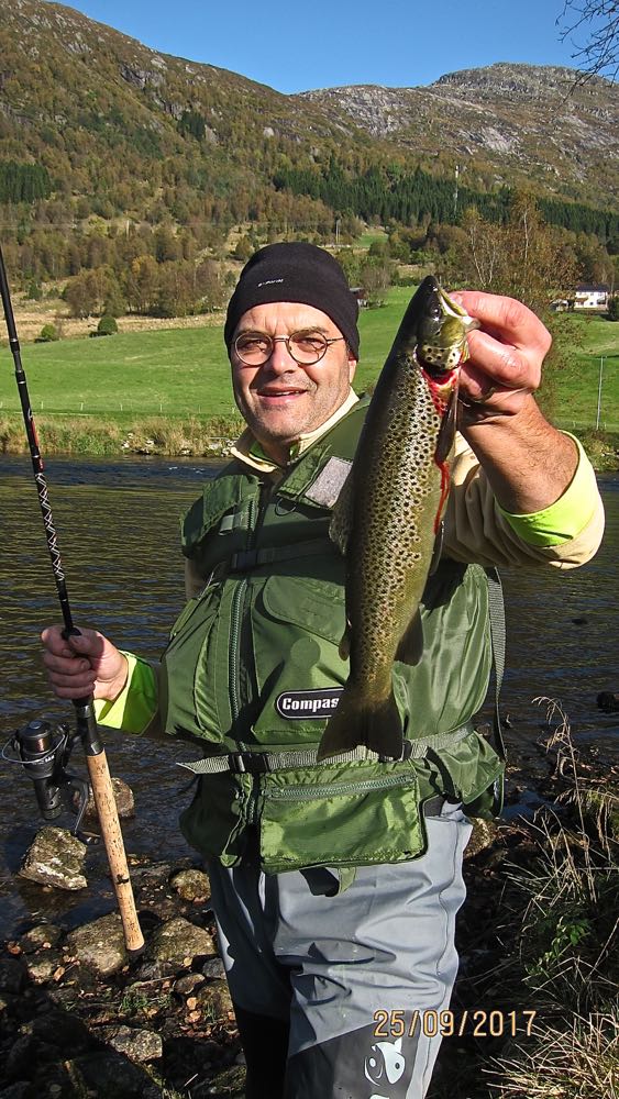 Men hvor er de største kubbene?