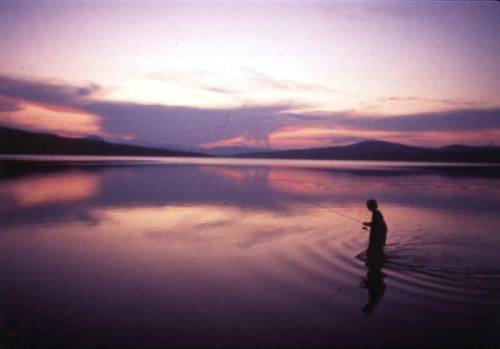 Gålåvatnet er åpent for alle stangfiskere!