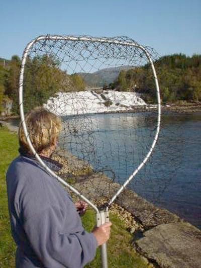 Gaular-bonde pumpet 220 tonn kumøkk ut i lakselva!