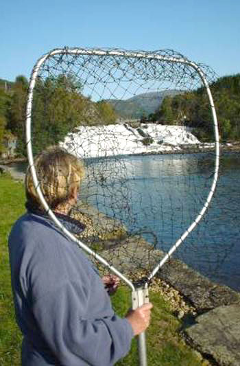 Full kvote under Osfossen i Gaular!