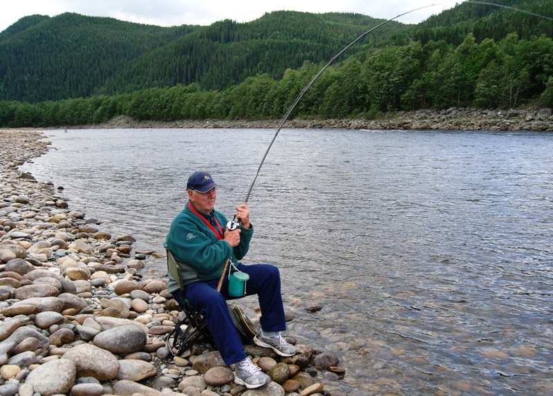 Tor med marken tar laks hver dag i Gaula!