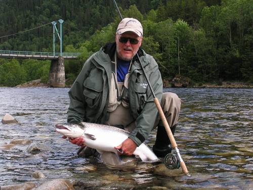 150 villaks-bestander står i fare for å bli utryddet!