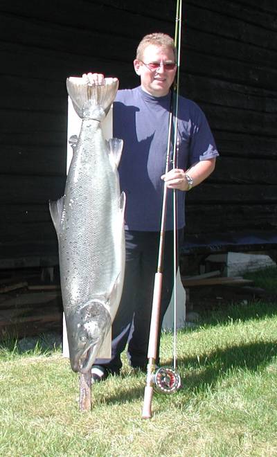 Nesten 100 laks tatt i Gaula bare i går!