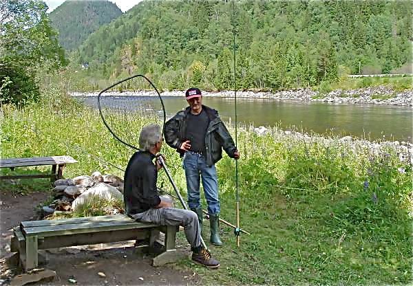 Nye restriksjoner ventes i laksefisket  i Midt-Norge