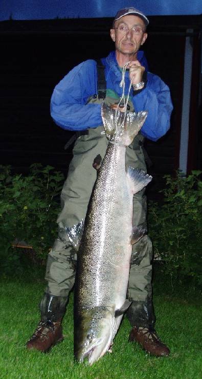 Gaula-laks på 20,8 kilo på flue!