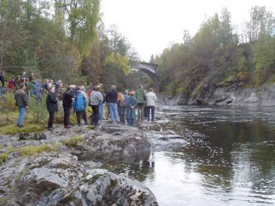 Utlendinger kan sky elvene ved utslipp-forbud!