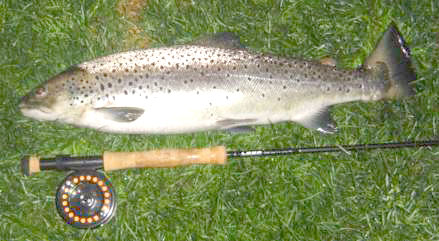 Skjønnheter fra Gausa og Gudbrandsdalslågen!