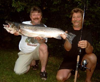 Eventyrlig duell i Bolvikelva!