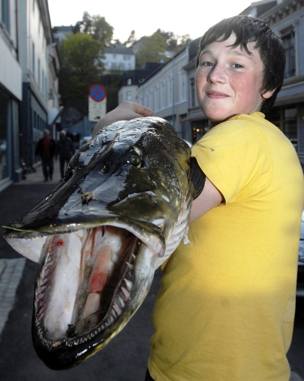 14-åring bitt av gjedde ved bading-nå tok han revansj!