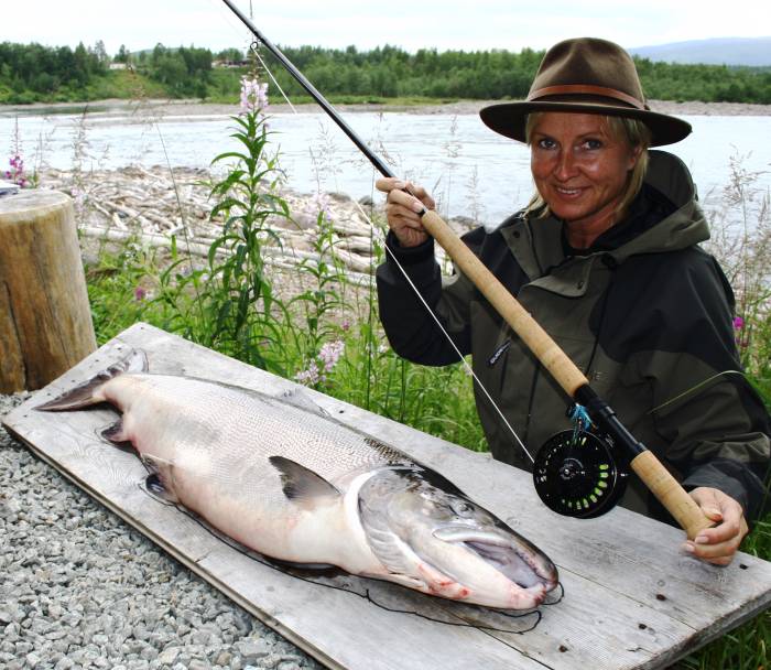 Laksedronningen i Målselvfossen