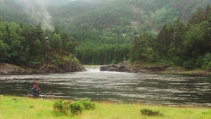 Eventyrlig laksefiske i hele Suldalslågen!