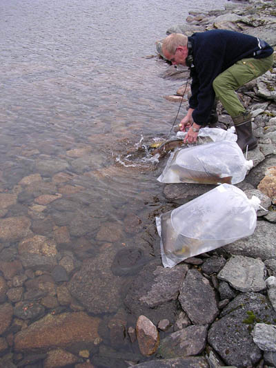 Kilosørret på skolebenken i Narvik!
