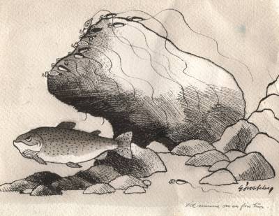 Minnerike fiskedager med Sven og Alfred på Hardangervidda