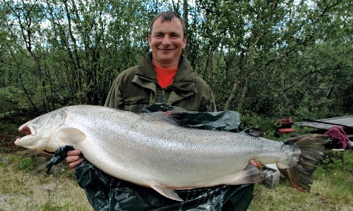 Tanaelva trenger 55 tonn gytende hunnlaks årlig!