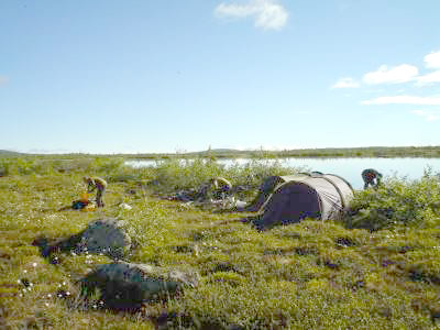 Himmelsjøen i Stor-Elvdal oppskrytt!