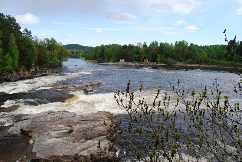 Nye fisketider i lakselvene fastsatt for 2016