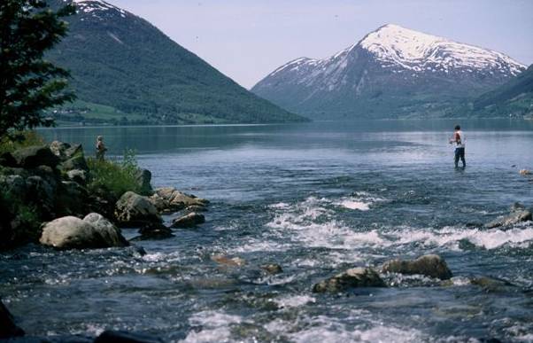 Jølstra-auren sikra ved utbygging av Myklebustelva
