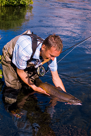 Spennende dueller med storfisk på Island