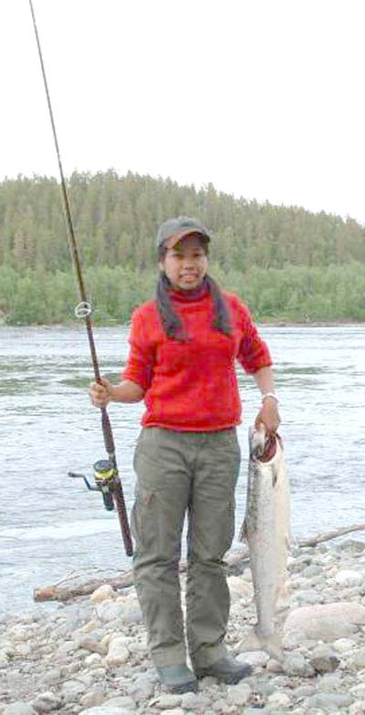 Laksefangsten nesten halvert i Målselva!