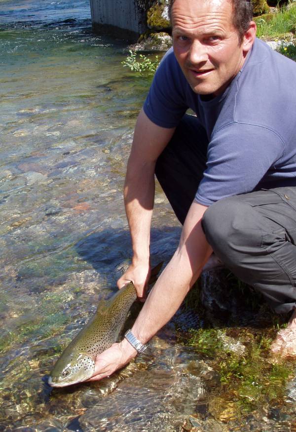 Jølstra får påfyll av storørret fra Jølstravatnet!